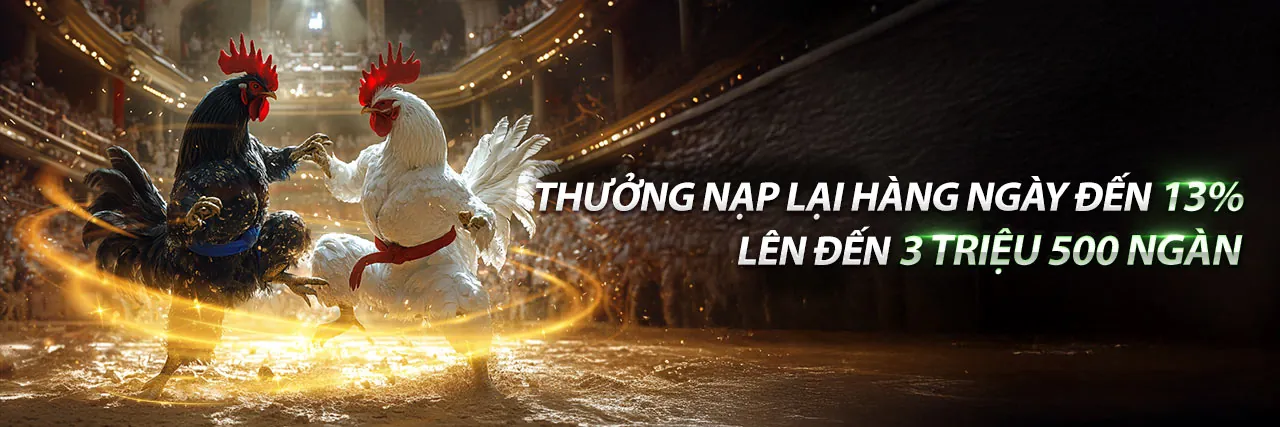Nền tảng cá cược thể thao EV99